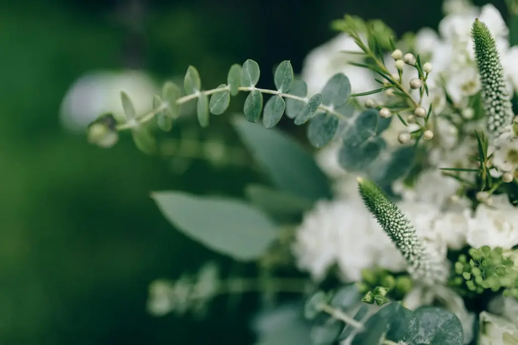 Close-up of a fresh, elegant floral arrangement with green leaves and white flowers, perfect for weddings or garden themes.