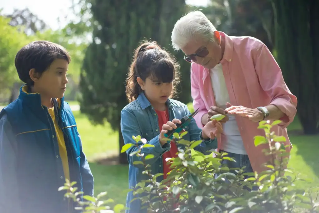 A grandfather teaching two children gardening with pruning shears in a sunny Portuguese garden.