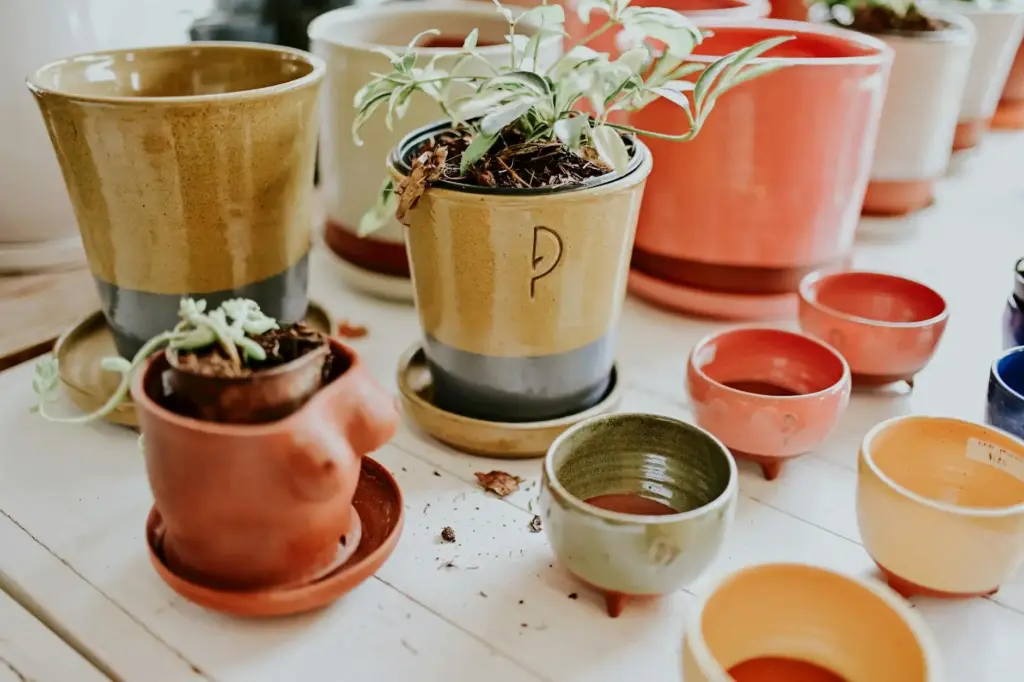 Vibrant ceramic pots holding green plants arranged on a surface. Ideal for decor inspiration.