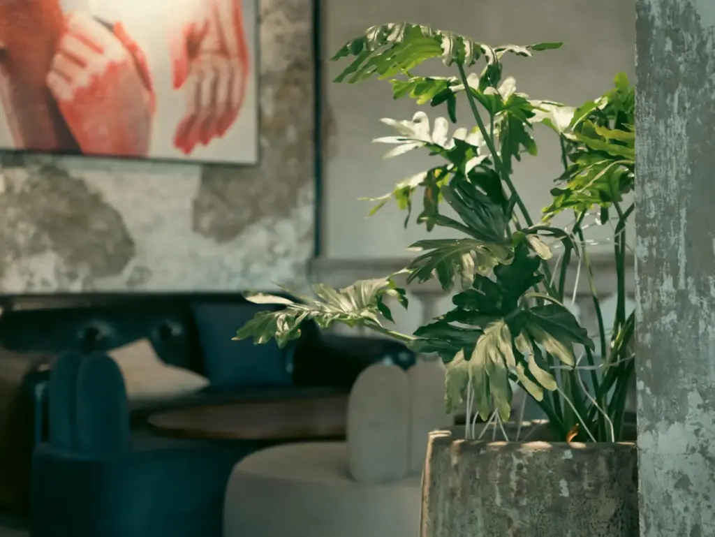 Cozy modern lounge with a lush plant adding fresh greenery to the decor.