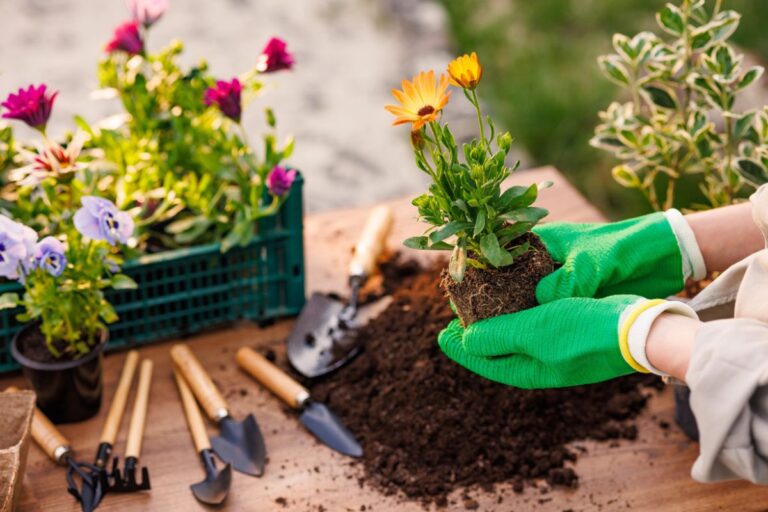 planting flowers with gardening tools