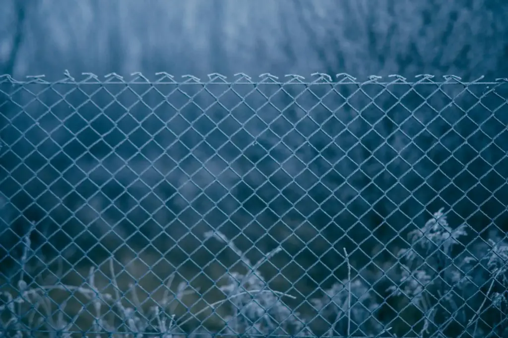 A frosty chain link fence with a blurred background, showcasing a winter landscape.