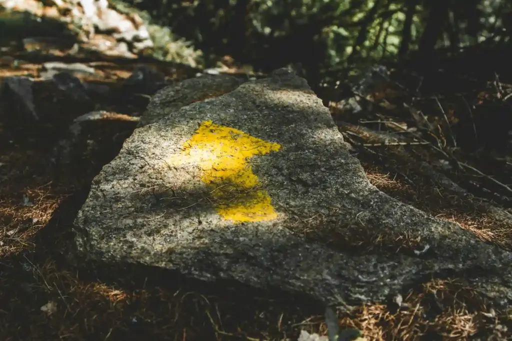 Yellow arrow painted on rock guiding a forest trail in Valsavarenche, Aosta, Italy.