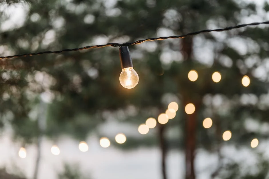 A close-up of glowing string lights outdoors with a blurred natural background, creating a warm ambiance.