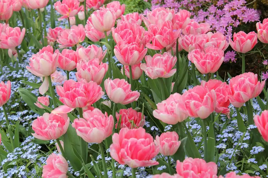 Captivating field of pink tulips in full bloom, surrounded by greenery and complementary flowers.