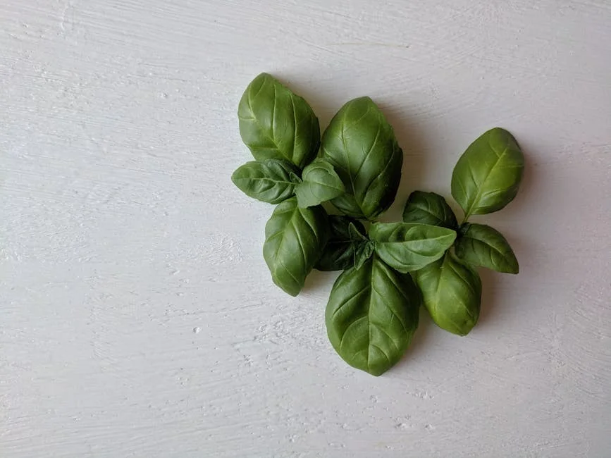 Top view of fresh basil leaves on a light textured background, ideal for culinary themes.