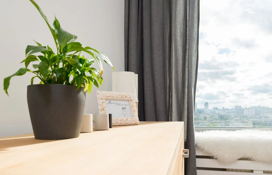 Potted green plant with various decorative elements placed on wooden cabinet next to curtain on window with windowsill