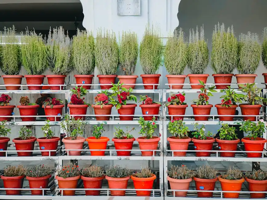 A colorful assortment of potted plants arranged on shelves, ideal for garden inspiration.
