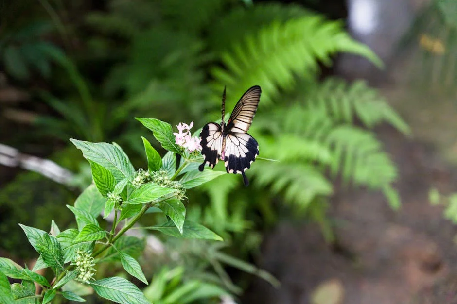 A delicate butterfly perched on a vibrant green plant, surrounded by lush foliage.