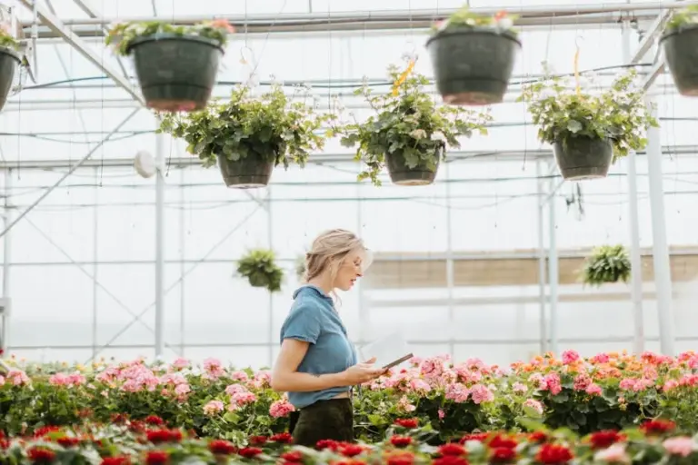 Understanding Plant Labels: What Do They Really Mean? A Friendly Guide to Decoding Garden Tags