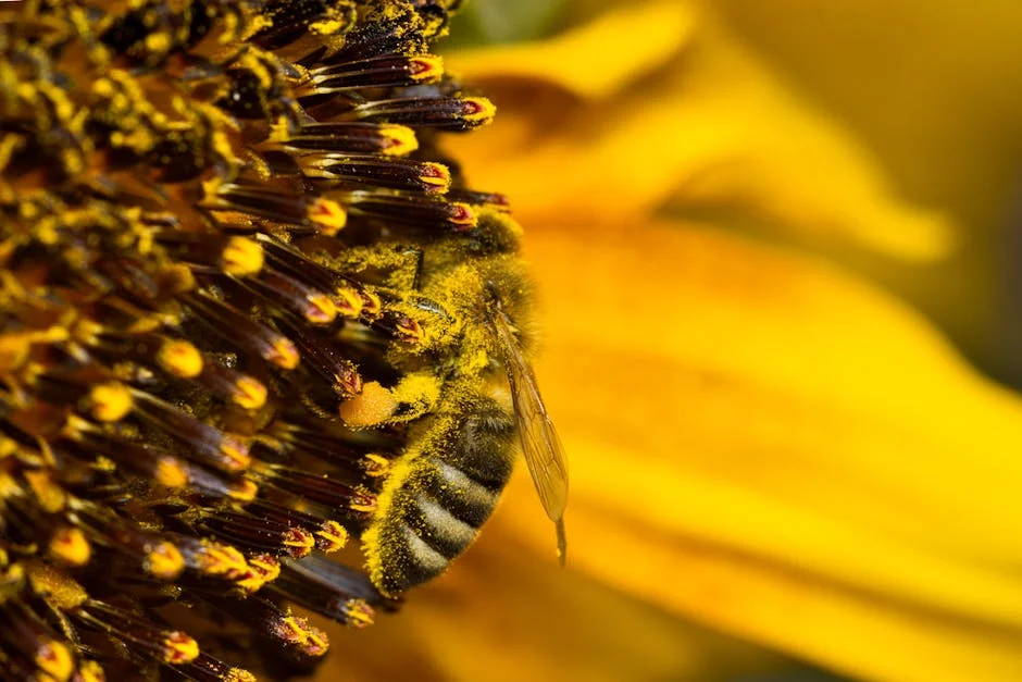 Detailed macro shot of a honeybee gathering pollen from a bright sunflower.