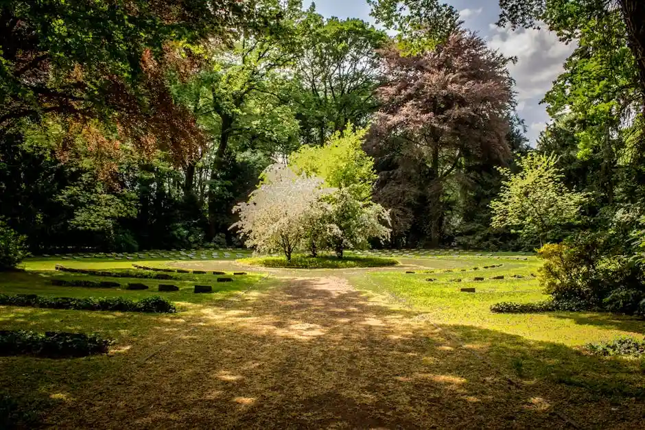 Beautiful garden with lush greenery and blooming trees under a sunny sky.