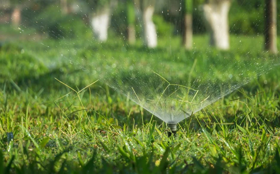 A sprinkler system watering a lush green grass field outdoors during daytime.
