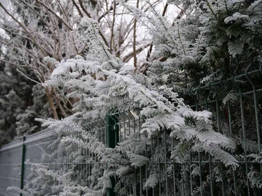A serene winter scene with snow-covered branches and a metal fence in Warsaw, Poland.
