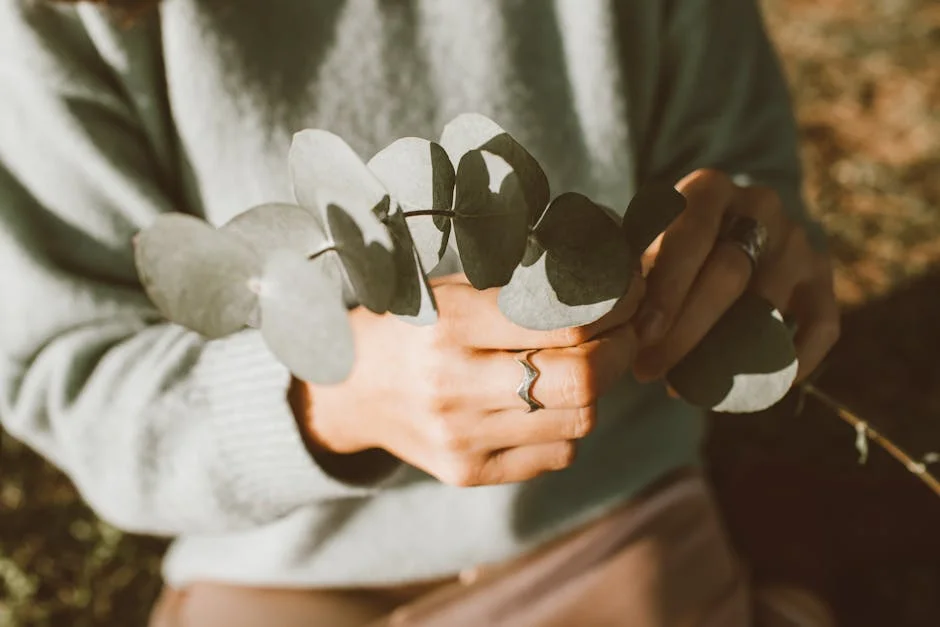 Hands gently holding eucalyptus leaves in natural sunlight, capturing the beauty of nature.