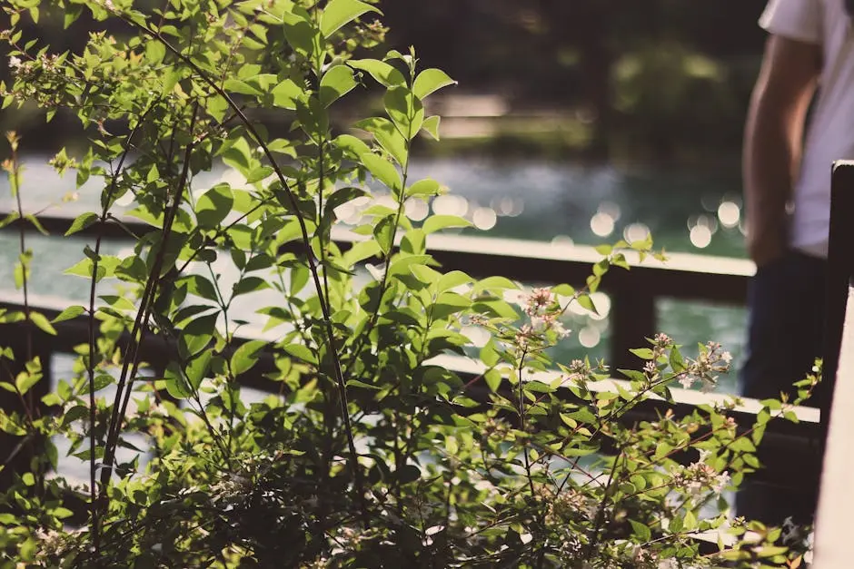 Lush greenery by a garden pond with bokeh sunlight and a fence.