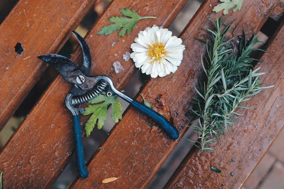 Overhead view of garden pruner, white flower, and rosemary on a wooden bench.