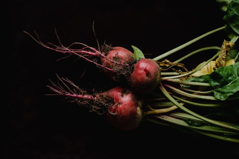 Close-up of fresh organic Chioggia beets with leaves against a black background, highlighting natural produce.