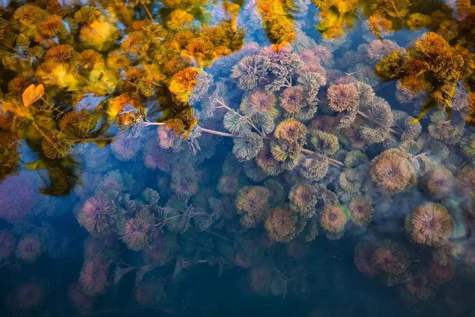 Close-up of colorful marsh plants submerged underwater, creating a vibrant aquatic scene.