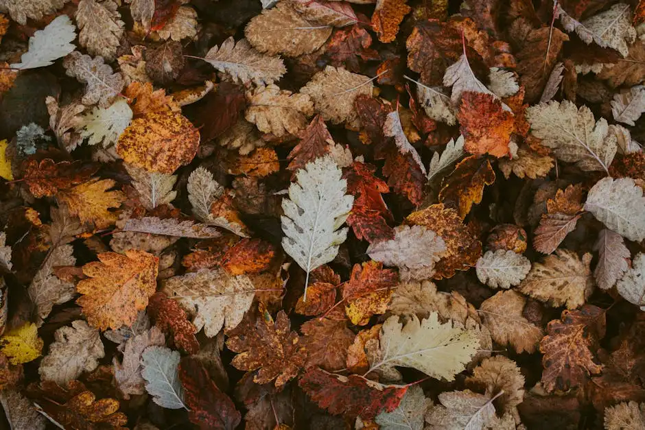 A collection of colorful autumn leaves creating a vibrant fall background.