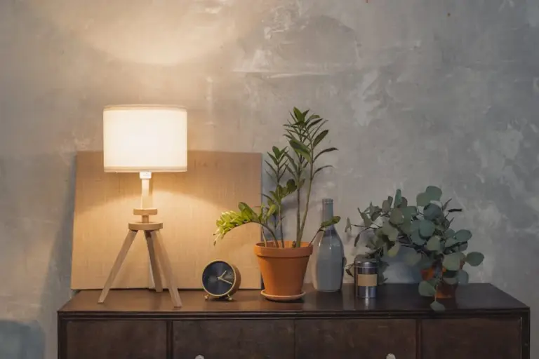 Best Low-Light Plants for Shady Indoor Spaces to Brighten Up Your Home