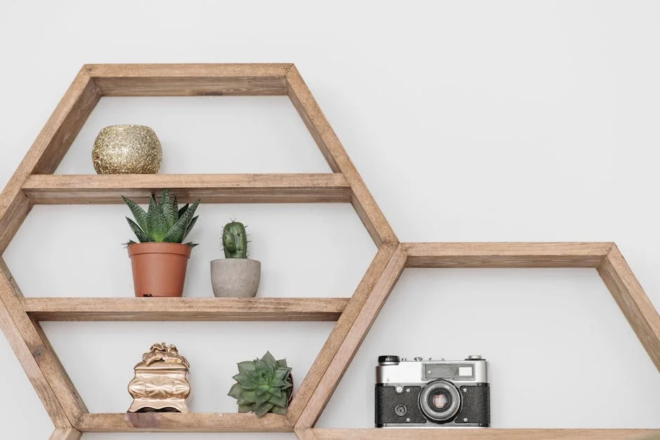 A vintage camera and succulents on a stylish wooden shelf against a white wall.