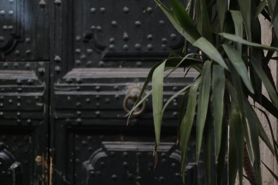 Green plant leaves in front of an ornate black steel door create a mysterious ambiance.
