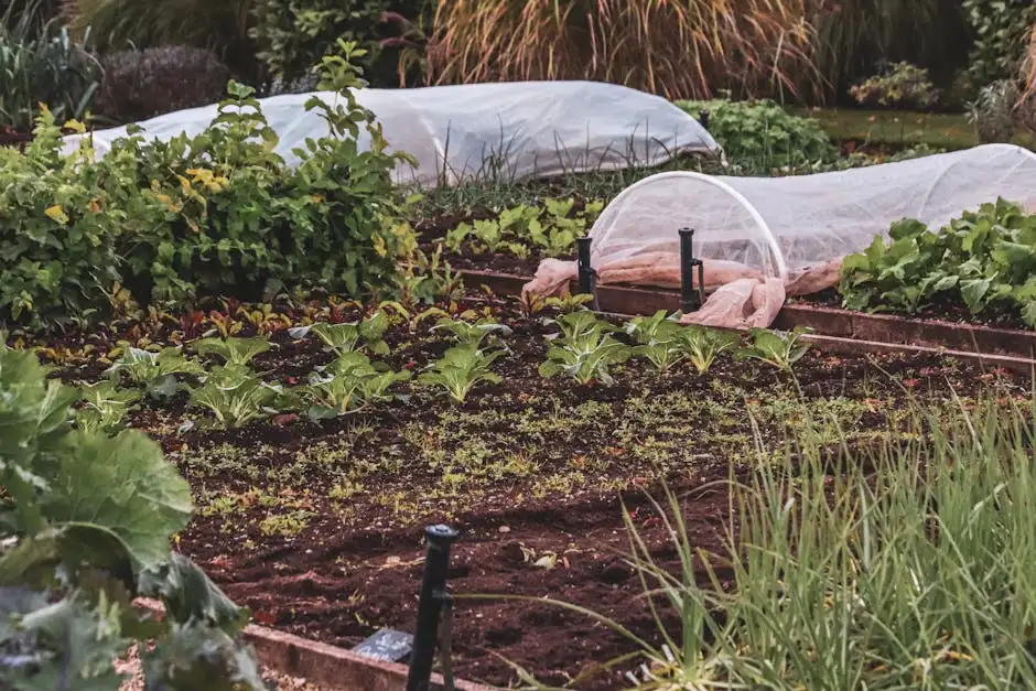 Thriving vegetable garden featuring protective covers and lush plants.