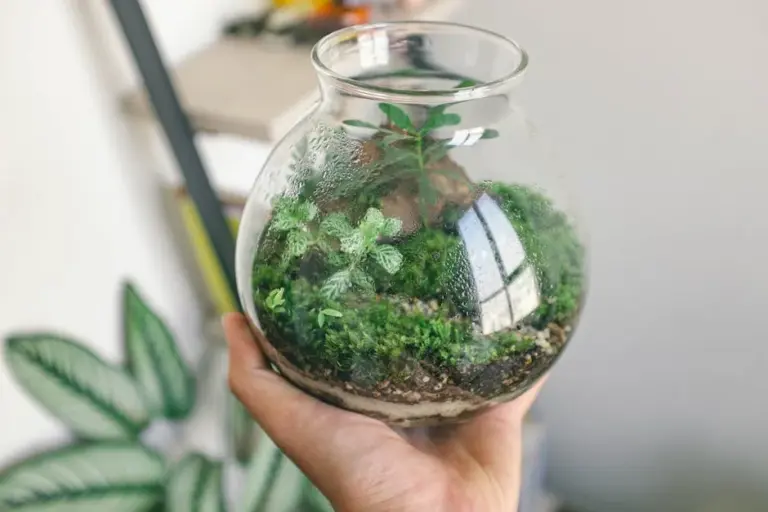 Container Gardening: Grow More in Small Spaces with Easy Tips for Every Home
