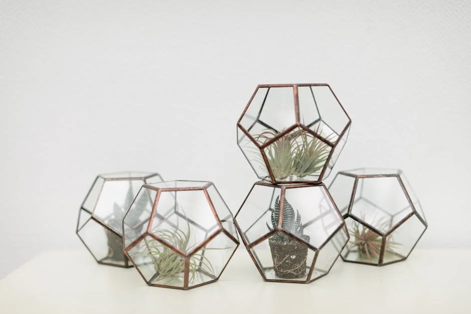 Stylish geometric terrariums filled with succulents and air plants, perfect for modern decor.