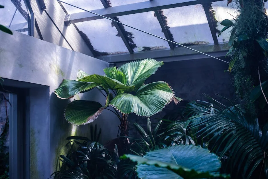 Vibrant tropical plants inside a sunlit greenhouse showcasing rich green foliage.