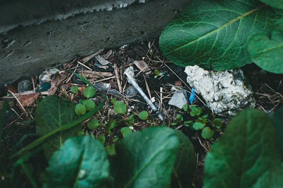 A discarded syringe lying among green leaves in a garden setting, highlighting environmental concerns.