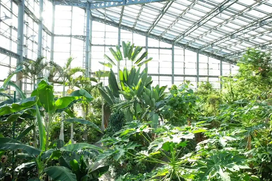 Sunlit tropical greenhouse showcasing lush greenery and exotic plants, creating an idyllic indoor ecosystem.