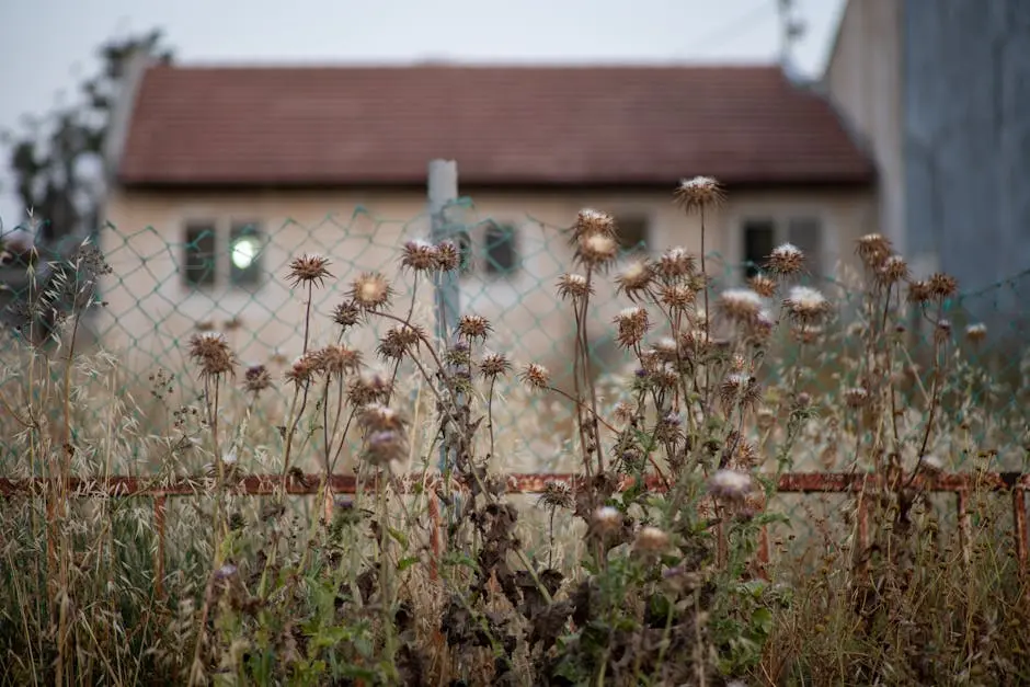 Dried flowers and plants with a rustic house in the background, evoking a vintage and calm atmosphere.