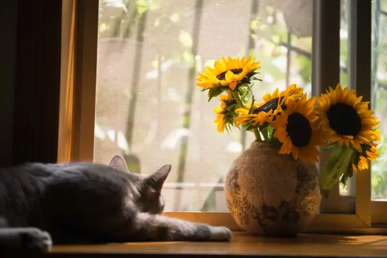 Top 10 Easy-Care Indoor Plants for Busy People to Brighten Your Home Effortlessly