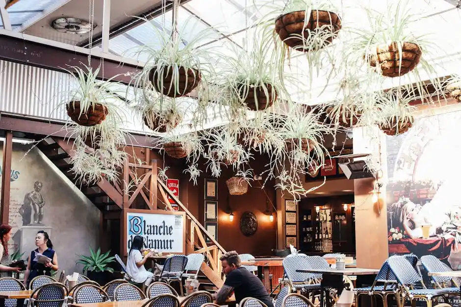 Stylish indoor bistro with hanging plants and woven chairs creates a cozy atmosphere for dining.