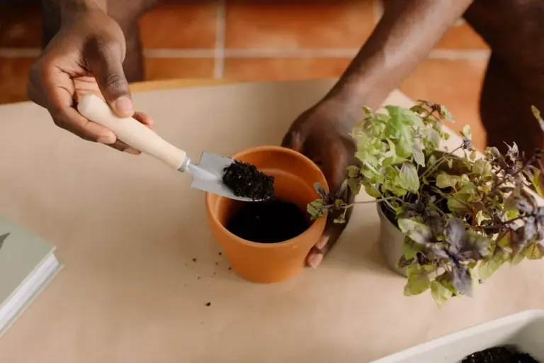 Beginner’s Guide to Composting at Home: Easy Tips for a Greener Lifestyle