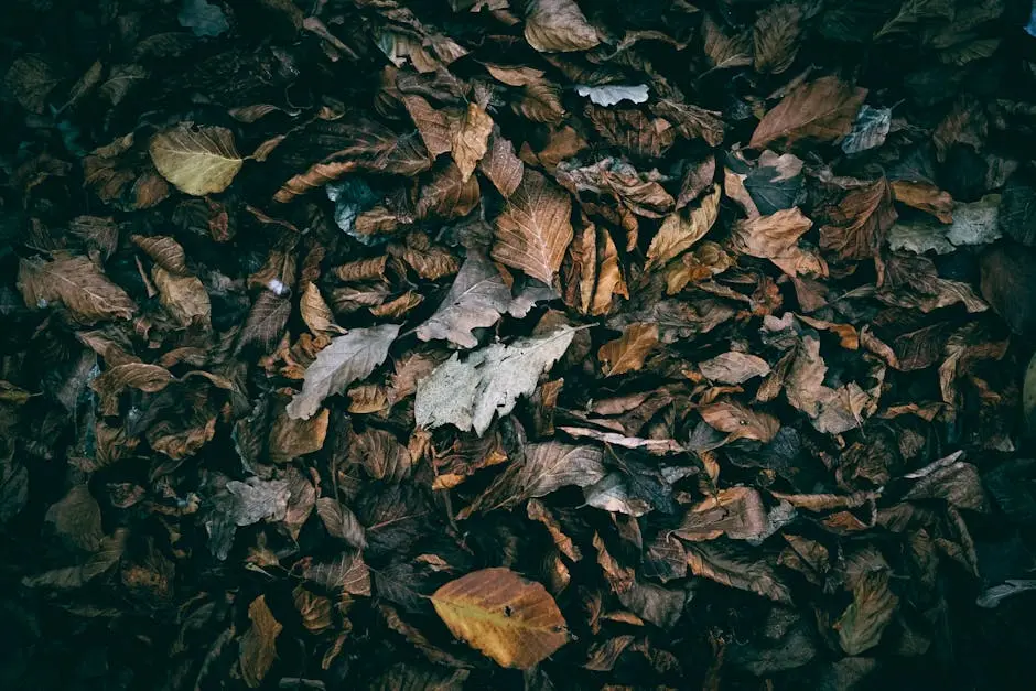 Aerial view of dry autumn leaves scattered on the ground, showcasing the earthy colors of fall.