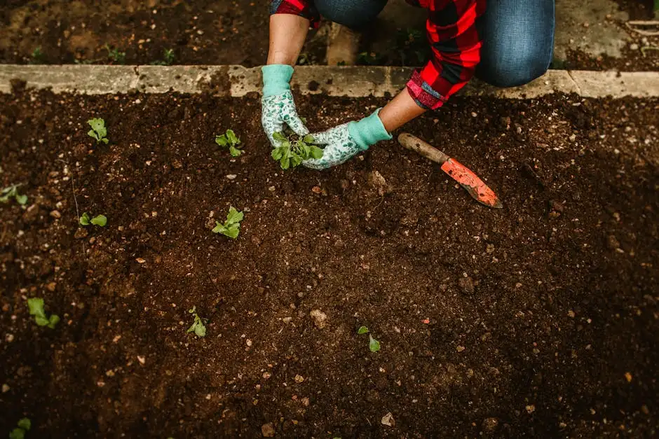 Close-up of hands in gloves planting seedlings in a garden plot.