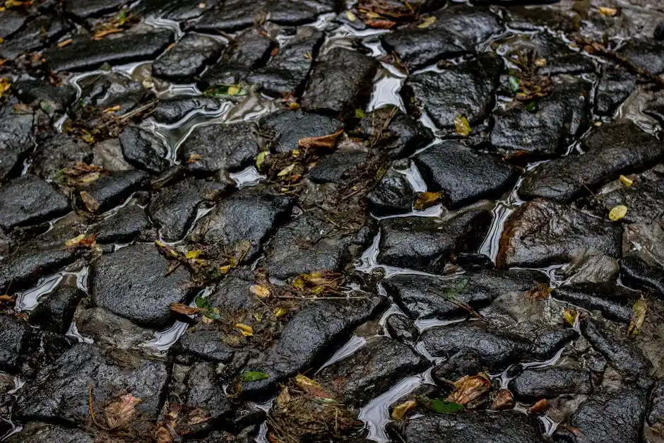 Detailed view of a wet cobblestone path with scattered leaves after rainfall.