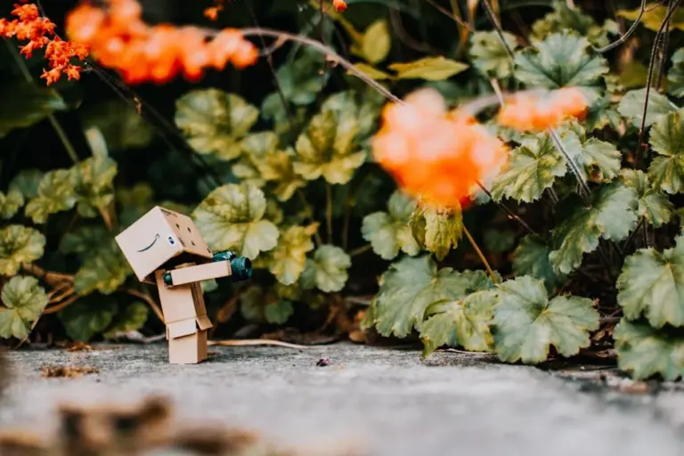 Gardening Superstitions and Their Surprising Origins