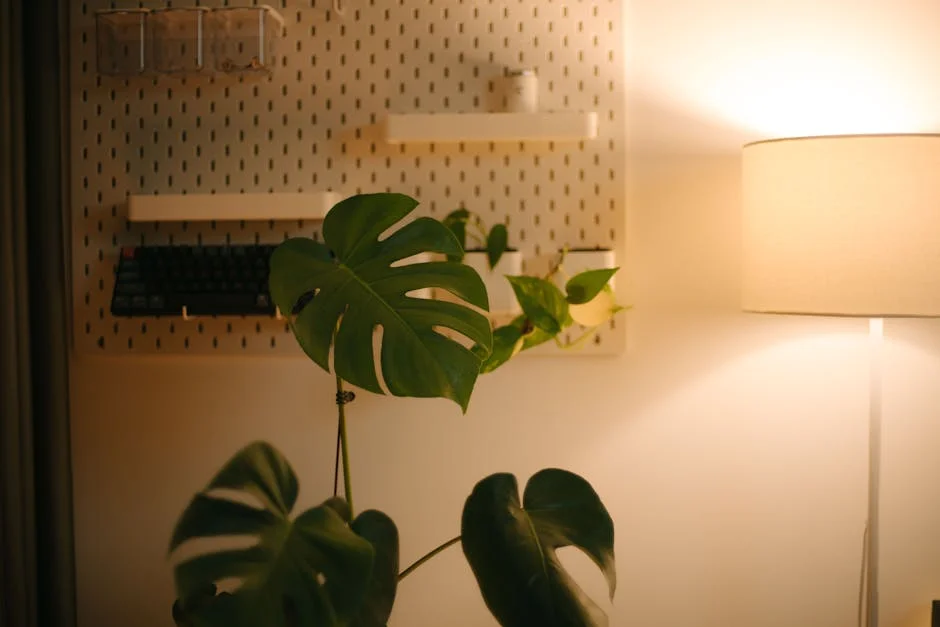 A serene indoor scene featuring a Monstera plant and a warm-lit lamp.