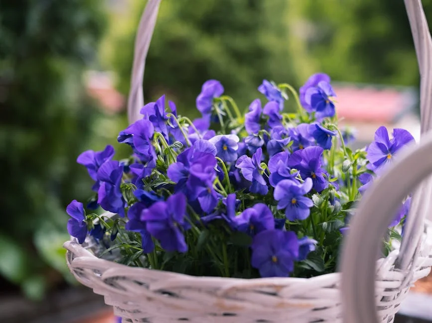 Close-up of vibrant purple pansies blooming in a white woven basket outdoors.
