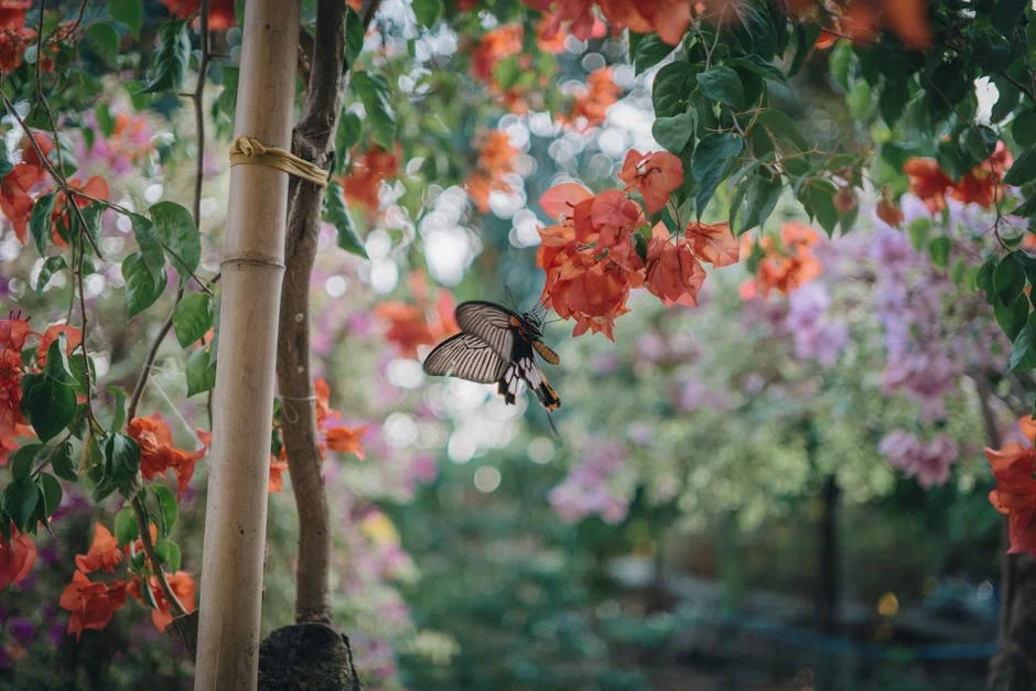 A butterfly on bougainvillea flowers capturing the essence of nature and pollination.