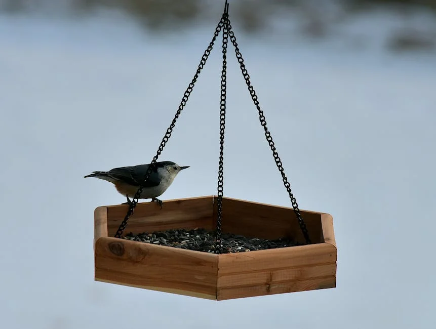 A bird sitting on a hanging wooden feeder filled with seeds against a winter backdrop.