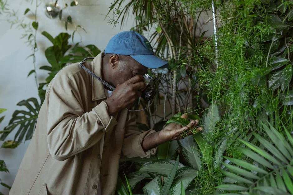 Senior man capturing indoor plants with camera in a peaceful setting.