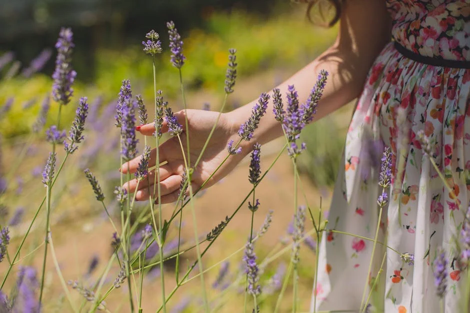 A woman gently touches lavender blossoms in a bright summer garden, capturing a serene outdoor moment.