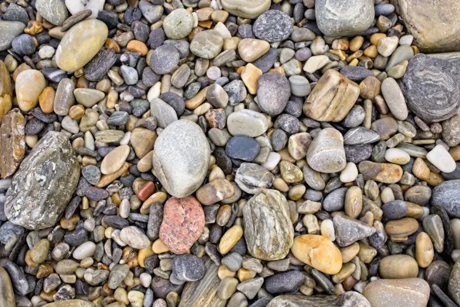 A detailed close-up view of colorful pebbles showcasing their varied textures and earthy tones.