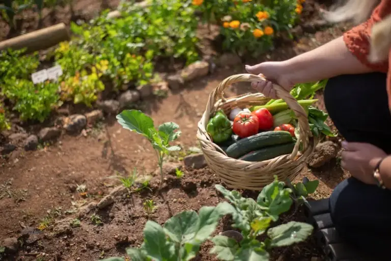 How to Plan Your Garden Calendar for Year-Round Harvest