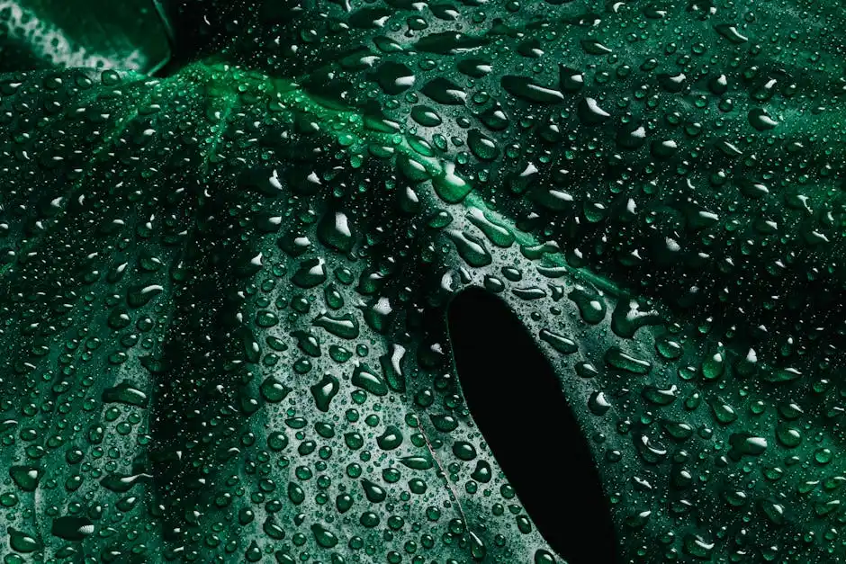 Macro shot capturing dewdrops on a vibrant green leaf surface, emphasizing natural beauty.